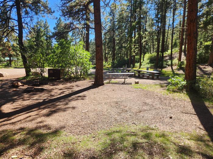 Site 1 with picnic tables, fire pits, and bear box