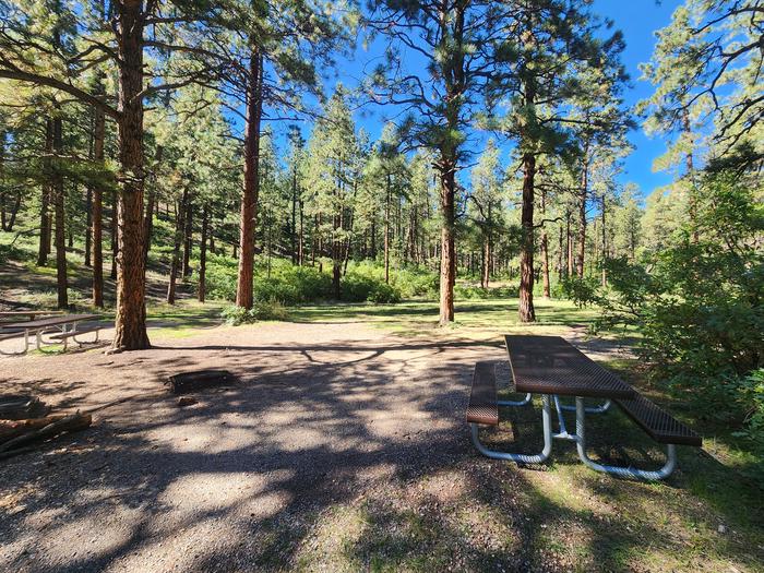 Another view of site 1 picnic table and fire pit area