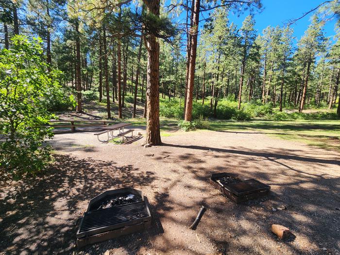 Site 1 fire pit area with two additional picnic tables