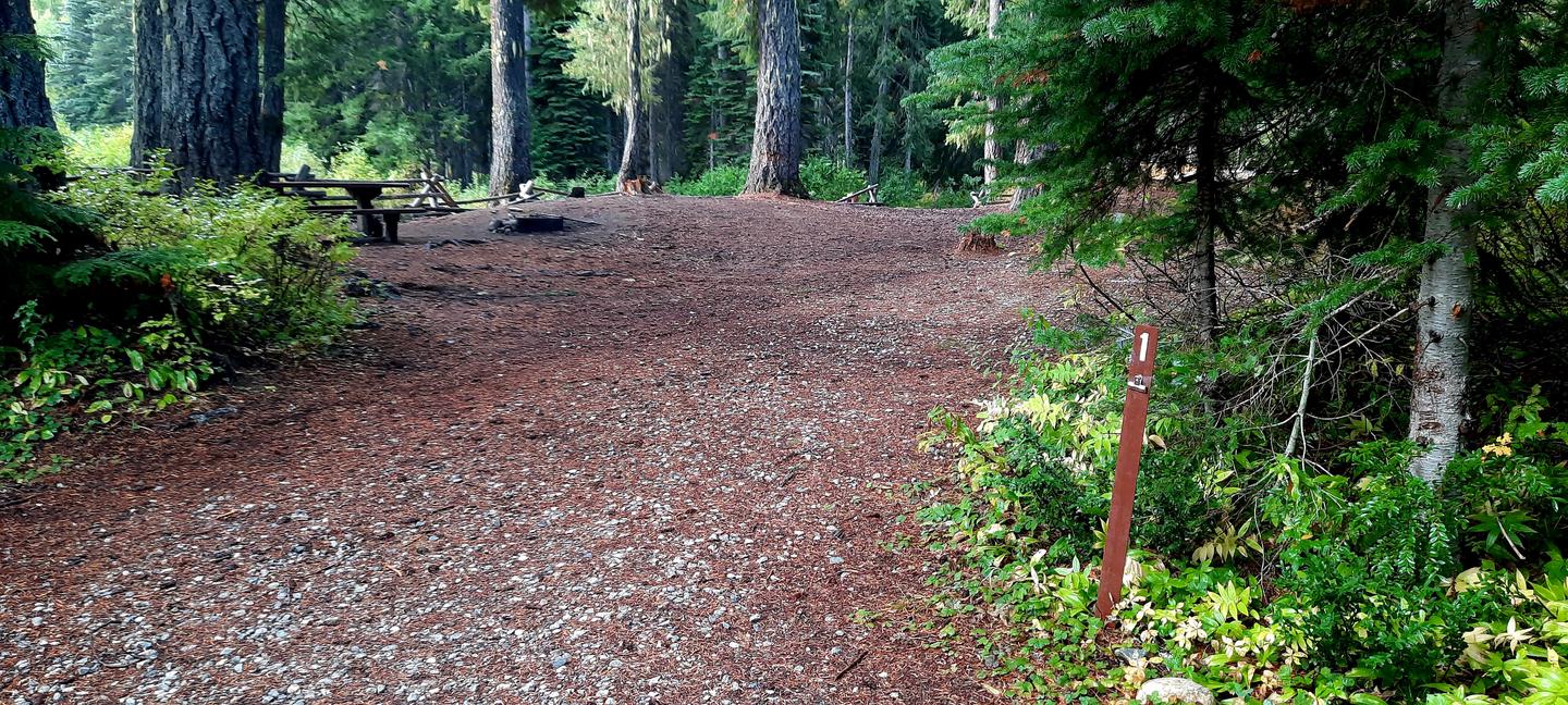 Phelps Creek Campsite #1Camp site #1