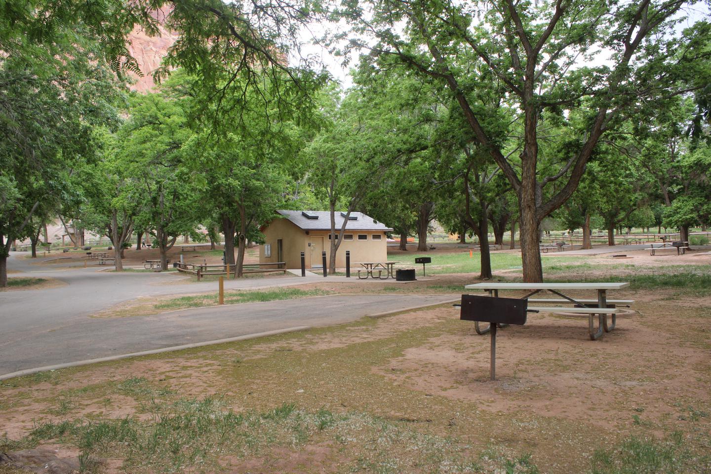 A paved driveway. Facing the end of the driveway, a picnic table, grill, and fire pit are to the right side. A tree is directly behind the site. A small building is in the background.Site 27, Loop B in summer.
Paved Dimensions: 14' x 30'