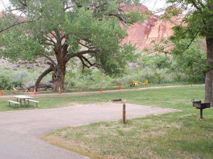 A paved driveway. Facing the end of the driveway, a picnic table and firepit are on the left side. A grill is to the right side. There trees in the background, and a red cliff towering behind the trees.Site 29, Loop B in summer.
Paved Dimensions: 14' x 28'