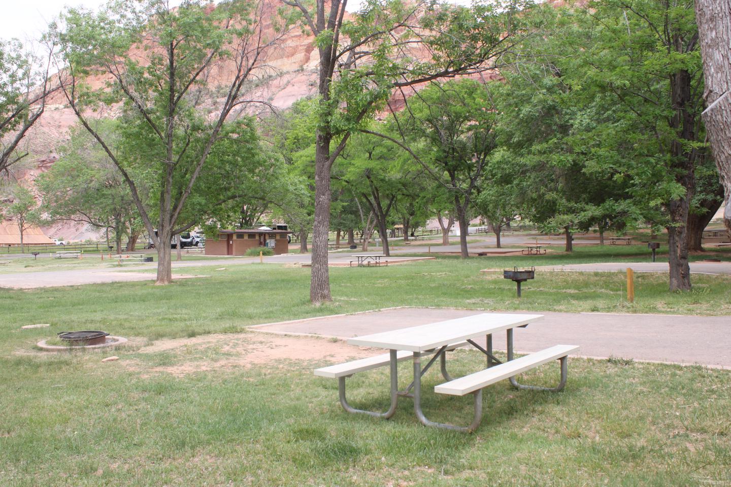 A paved driveway. Facing the end of the driveway, a picnic table and firepit are on the left side. A grill is to the right side. There are trees in the background and red cliffs peak out through the foliage. Site 29, Loop B in summer.
Paved Dimensions: 14' x 28'