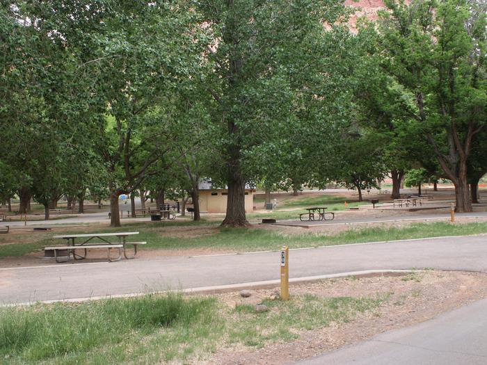 A paved driveway. Facing the end of the driveway, a picnic table and firepit are to the right side. Many trees are in the background and a small building.Site 30, Loop B in summer.
Paved Dimensions: 15' x 42'