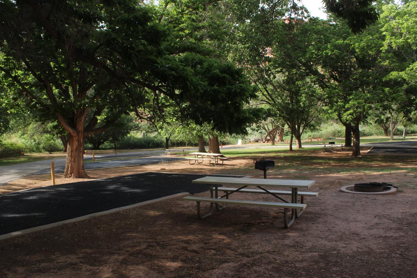 A paved driveway. Facing the end of the driveway, a picnic table, grill, and fire pit are to the left. Site 34, Loop B
Paved Dimensions: 14' x 28'