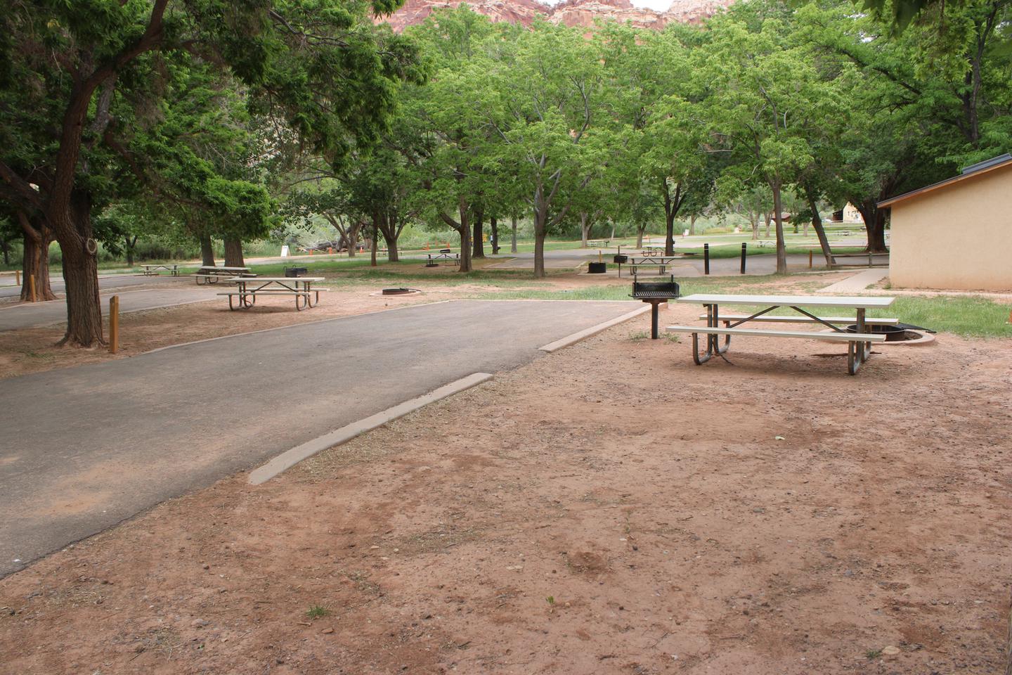 A paved driveway. Facing the end of the driveway, a picnic table, grill, and fire are to the right. A small building is behind the driveway. A large tree is to the left of the driveway. Many trees are in the background.Site 35, Loop B in summer.
Paved Dimensions: 16' x 43'