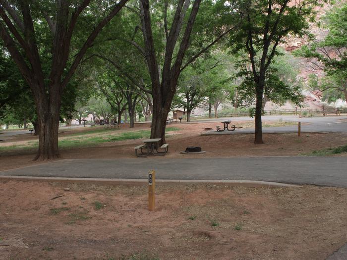 A paved driveway. Facing the end of the driveway, a picnic table and fire pit are to the right. A large tree is directly behind the picnic table. Another tree is behind the driveway.Site 39, Loop B in summer.
Paved Dimensions: 14' x 34'