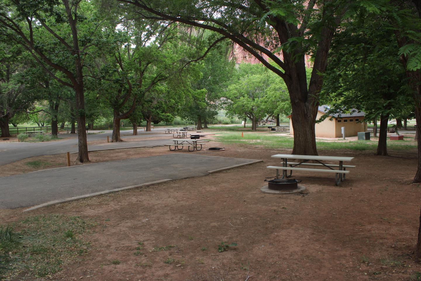 A paved driveway. Facing the end of the driveway, a picnic table and fire pit are to the right. Another tree is behind the driveway. Site 39, Loop B in summer.
Paved Dimensions: 14' x 34'