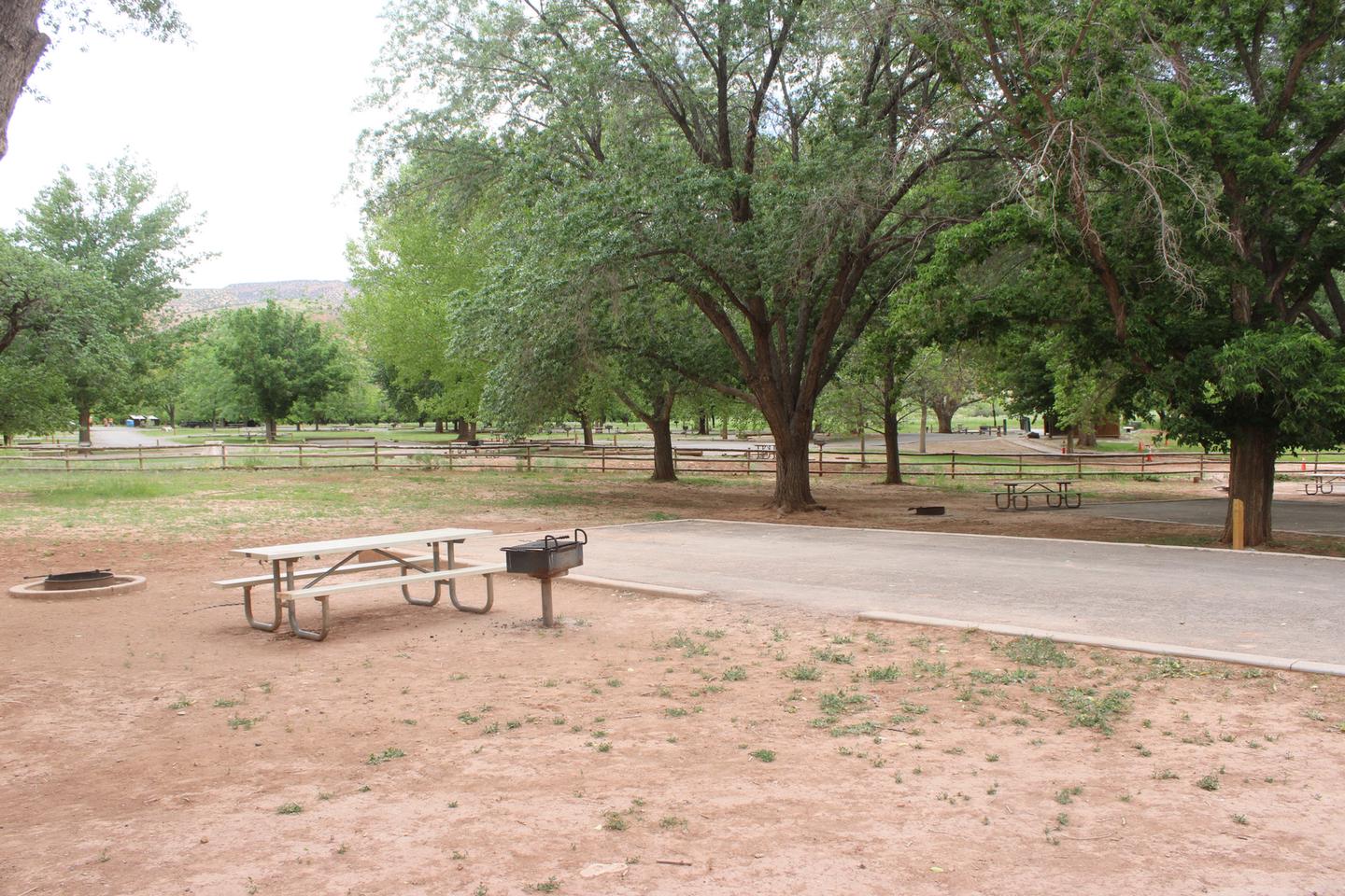 A paved driveway. Facing the end of the driveway, a picnic table, grill, and fire pit are to the left side.Site 42, Loop B in summer.
Paved Dimensions: 23' x 32'