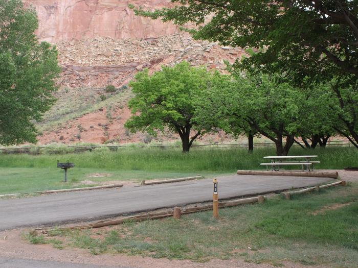 A paved driveway. Facing the end of the driveway, a picnic table is directly behind it. A grill is to the left side of the driveway. Four trees are in the back and red-colored cliffs are in the background.Site 51, Loop C in summer.
Paved Dimensions: 19' x 42'