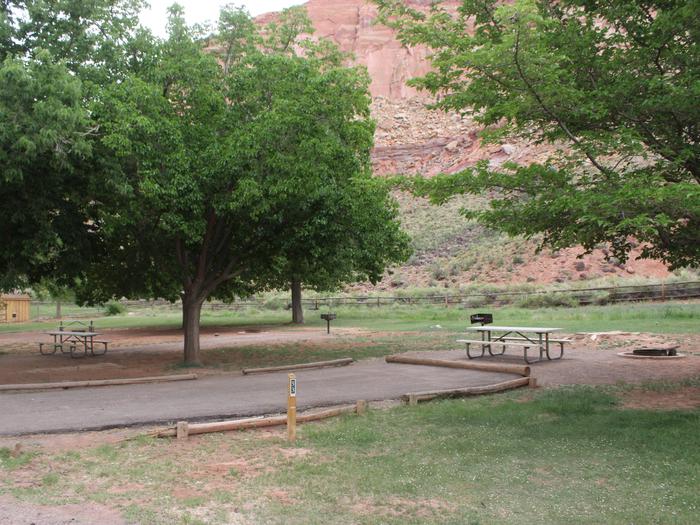 A paved driveway. A picnic table, fire pit, and grill are behind the driveway. A tree is to the left side of the driveway. Red-colored cliffs are in the background.Site 53, Loop C in summer.
Paved Dimensions: 18' x 40'