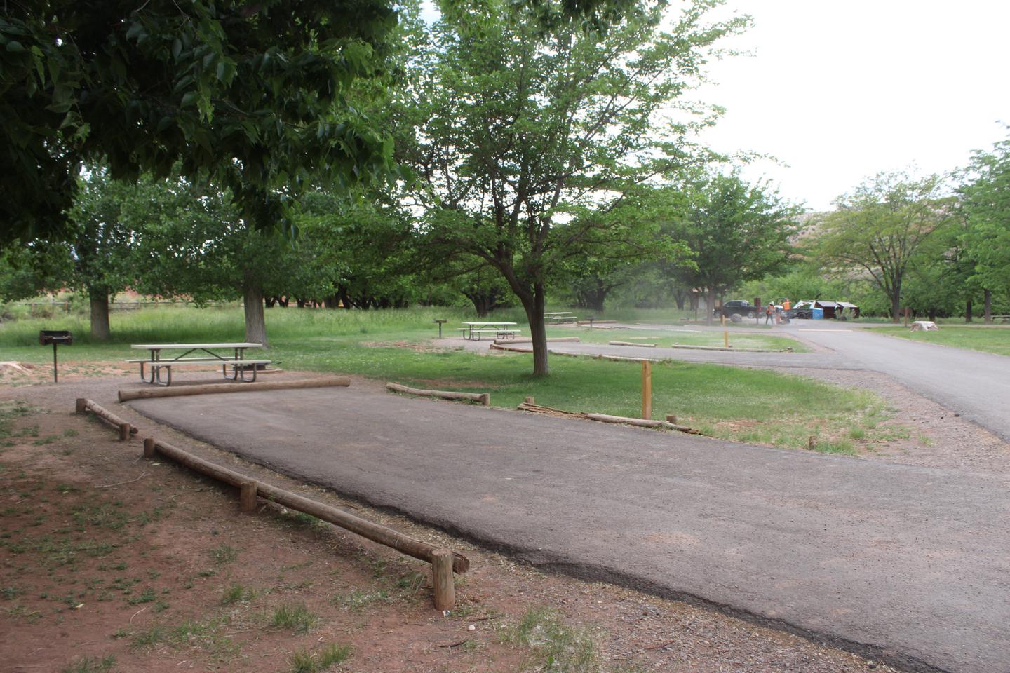 The edge of a paved driveway. A picnic table, fire pit, and grill are behind the driveway.Site 53, Loop C in summer.
Paved Dimensions: 18' x 40'