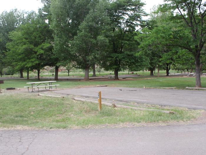 A paved driveway. A picnic table and fire pit are directly behind the driveway. There are trees in the background.Site 54, Loop C in summer.
Paved Dimensions: 29' x 47'