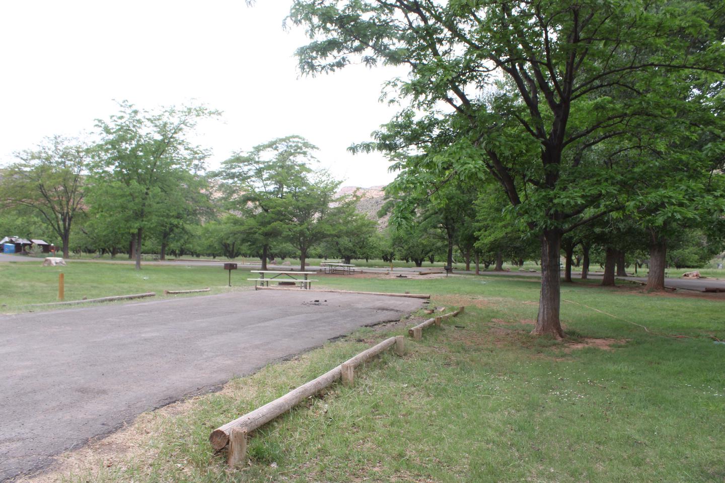 A paved driveway. A picnic table and fire pit are directly behind the driveway. There are trees in the background.Site 54, Loop C in summer.
Paved Dimensions: 29' x 47'