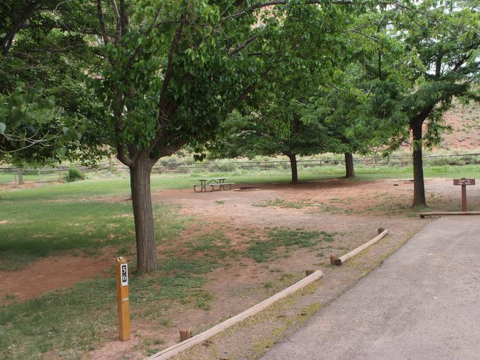 The edge of a driveway. Way behind the site is a picnic table and fire pit on a patch of dirt. There are three trees in the background and one tree in the foreground.Site 56, Loop C in summer.
Walk-In Tent Site.