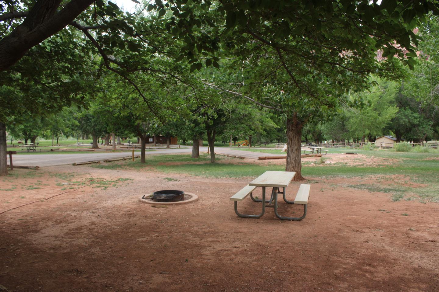 A picnic table and fire pit are on a patch of dirt. The area is surrounded by grass. A few trees are in the background.Site 56, Loop C in summer.
Walk-In Tent Site.