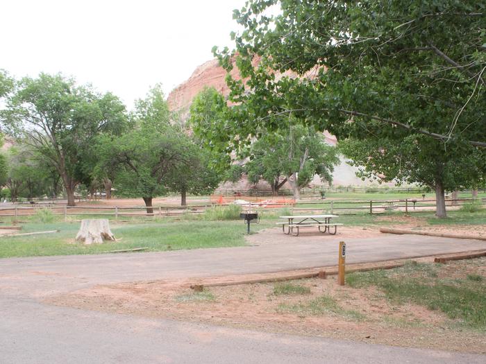 A paved driveway. Facing the end of the driveway, a picnic table, grill, and fire pit are off to the left side. A fence is behind them going across the image. There are many trees in the background and a red cliff rises above them.Site 57, Loop C in summer.
Paved Dimensions: 19' x 50'