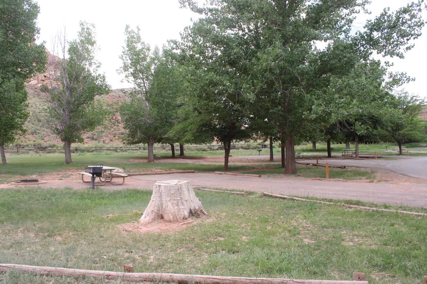 A paved driveway. Facing the end of the driveway, a picnic table, grill, and fire pit are off to the left side. A tree stump is in the foreground of the image. Many trees are in the background.Site 57, Loop C in summer.
Paved Dimensions: 19' x 50'