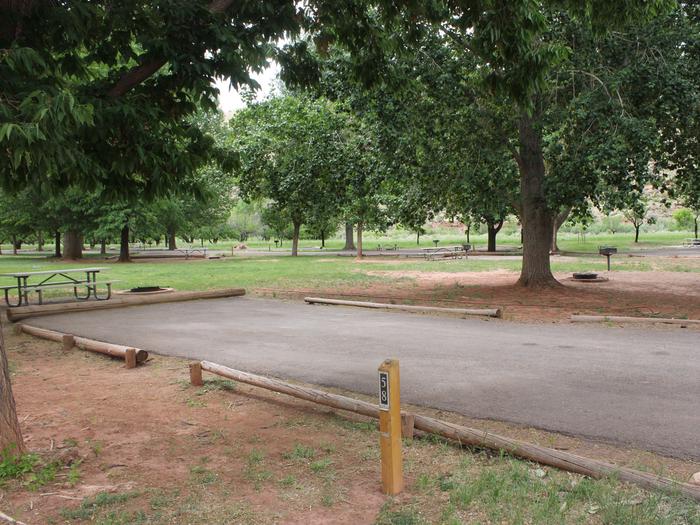 A paved driveway. A picnic table and fire pit are directly behind the driveway. Many trees are in the background.Site 58, Loop C in summer.
Paved Dimensions: 23' x 48'