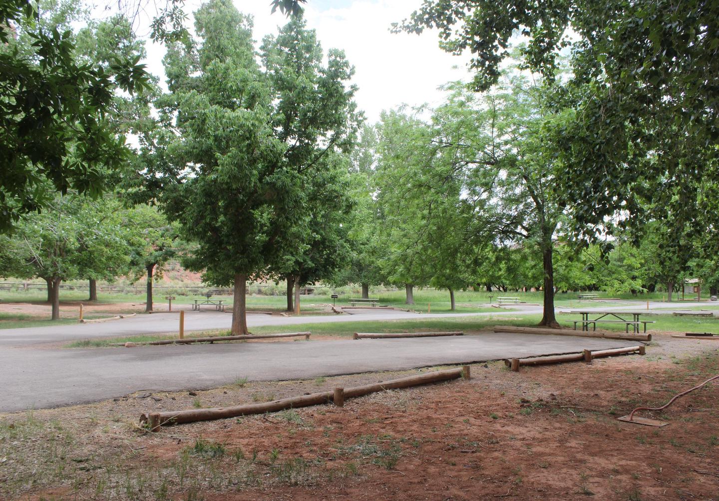 A paved driveway. A picnic table and fire pit are directly behind the driveway. A large tree is to the left of the driveway. Many trees are in the background.Site 58, Loop C in summer.
Paved Dimensions: 23' x 48'