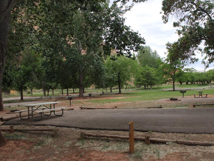 A paved driveway. Facing the end of the driveway, a picnic table, fire pit, and grill are behind the driveway. Many trees are in the background.Site 62, Loop C in summer.
Paved Dimensions: 30' x 42'