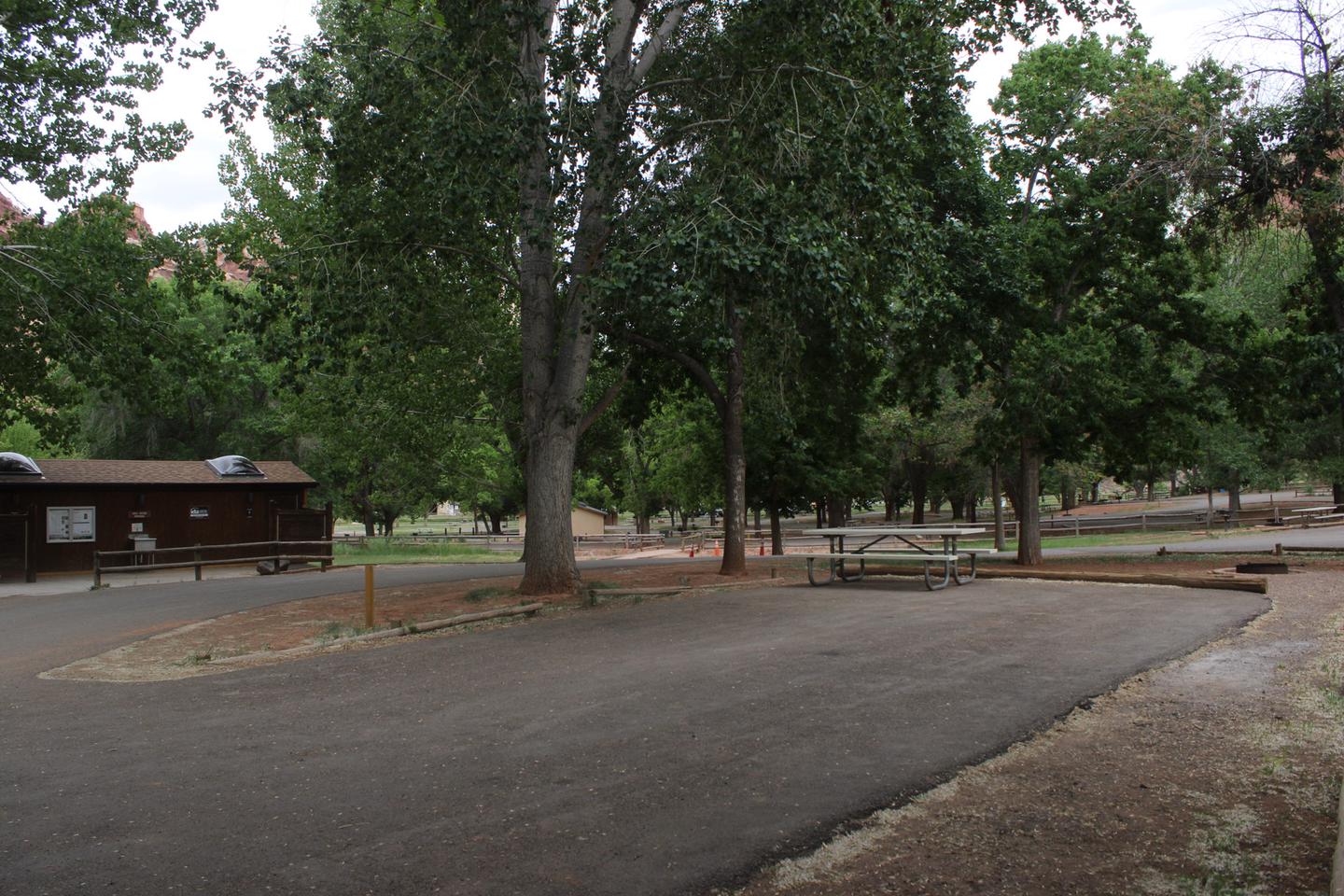 A paved driveway. A picnic table and fire pit are behind the driveway. Facing the end of the driveway, a tree is on the left side. A building is in the background on the left side.Site 62, Loop C in summer.
Paved Dimensions: 30' x 42'