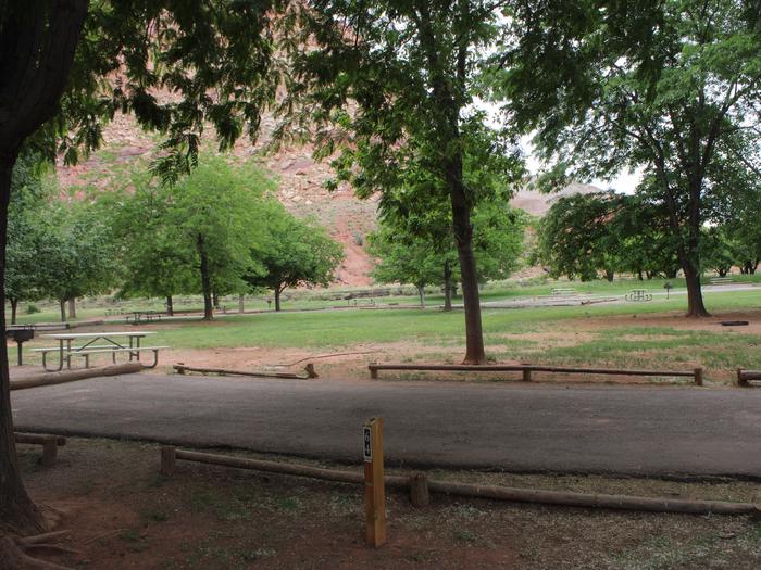 A paved driveway. A picnic table and grill is behind the driveway. A few trees are in the background, and a red cliff is behind the trees.Site 64, Loop C in summer.
Paved Dimensions: 20' x 30'