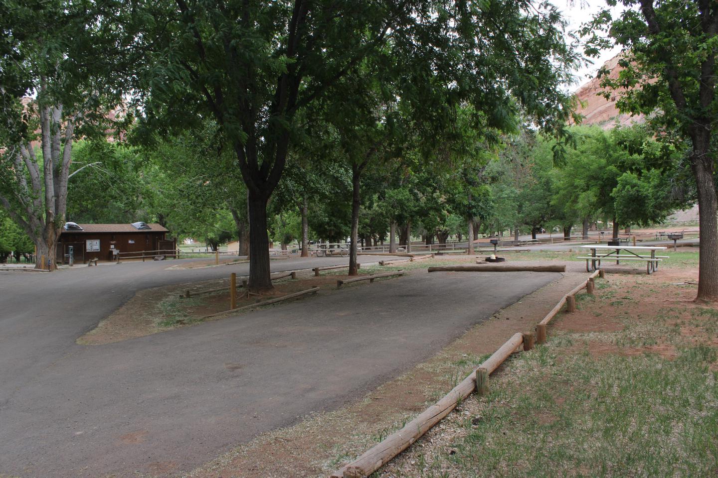 A paved driveway. A picnic table, fire pit, and grill are behind the driveway. Facing the end of the driveway, a tree is to the left-hand side. Many trees and a small building are in the background.Site 64, Loop C in summer.
Paved Dimensions: 20' x 30'