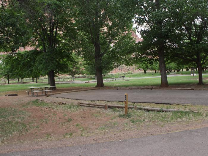 A paved driveway. A picnic table and fire pit are directly behind the driveway. Two trees are behind the site. Many trees are in the background.Site 66, Loop C in summer.
Paved Dimensions: 27' x 47'