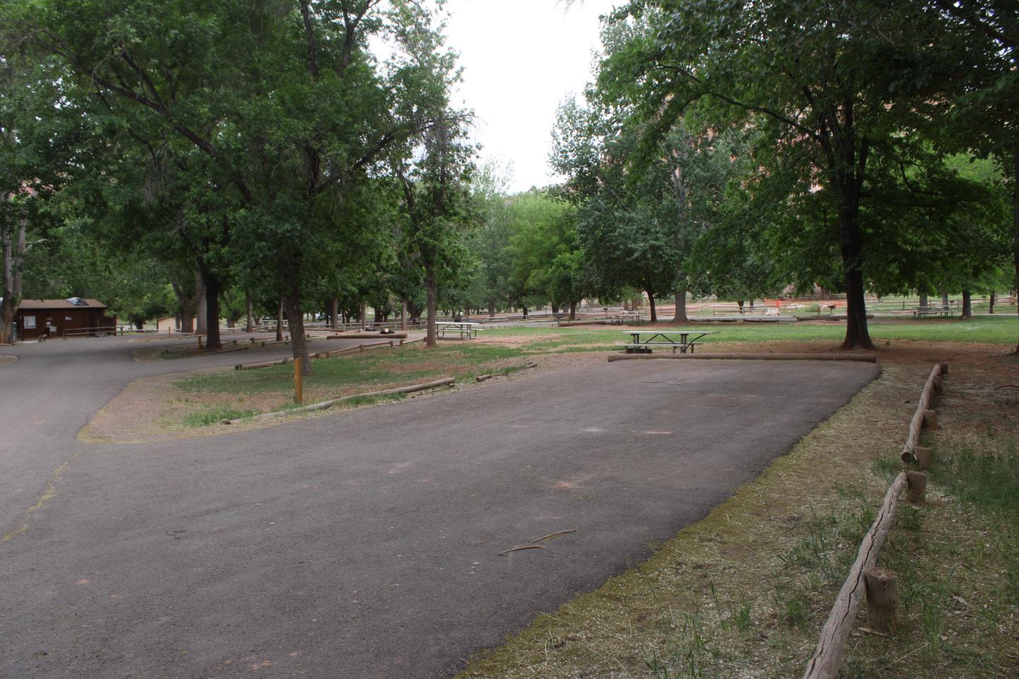 A paved driveway. A picnic table and fire pit are directly behind the driveway. One tree is behind the site. Many trees are in the background.Site 66, Loop C in summer.
Paved Dimensions: 27' x 47'