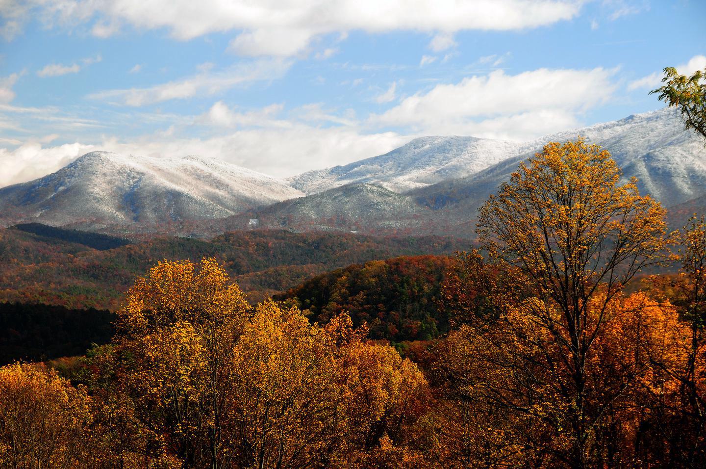 Preview photo of Great Smoky Mountains National Park