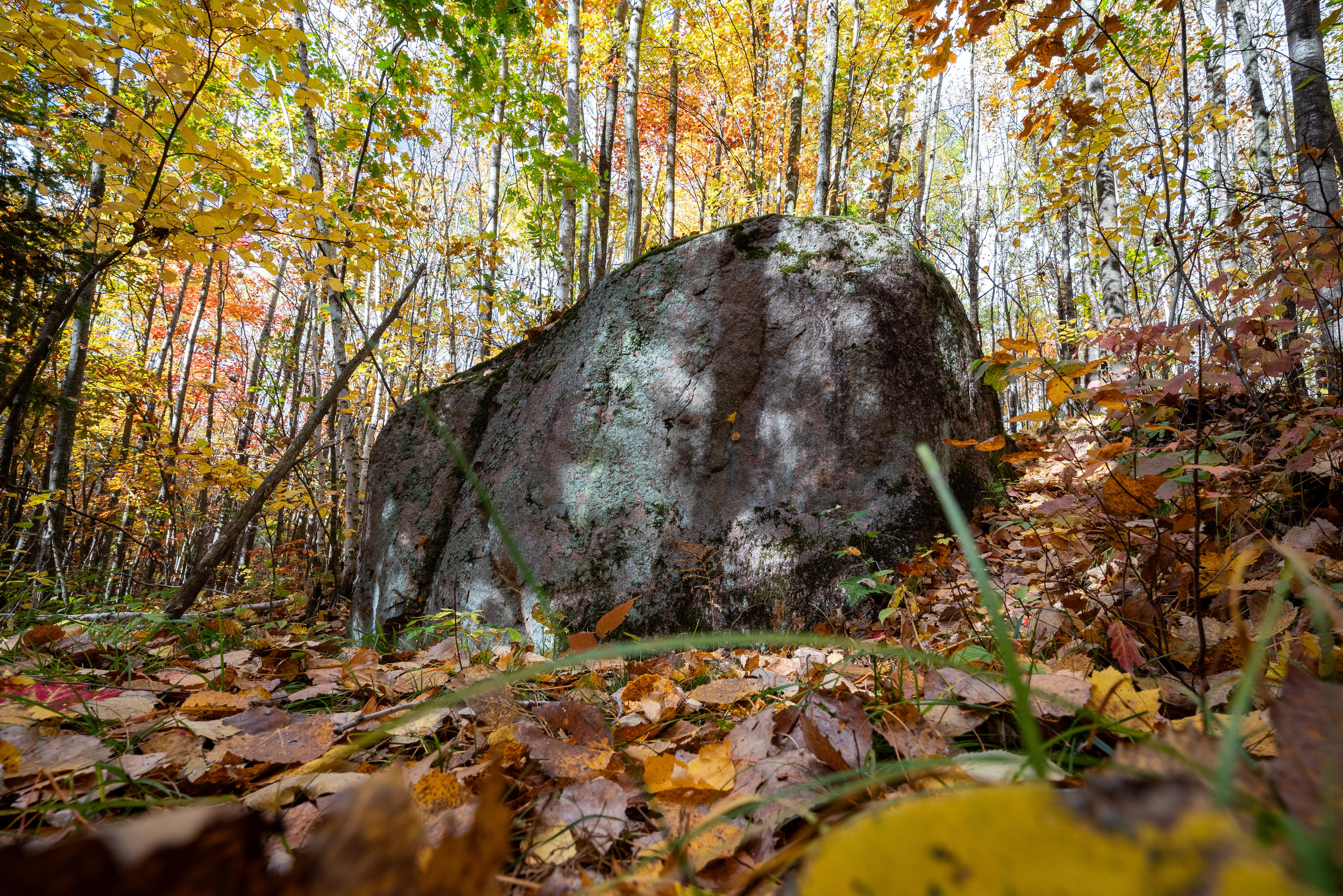 Glacial Erratic Boulder on Harwood Lake Segment of Ice Age National Scenic Trail