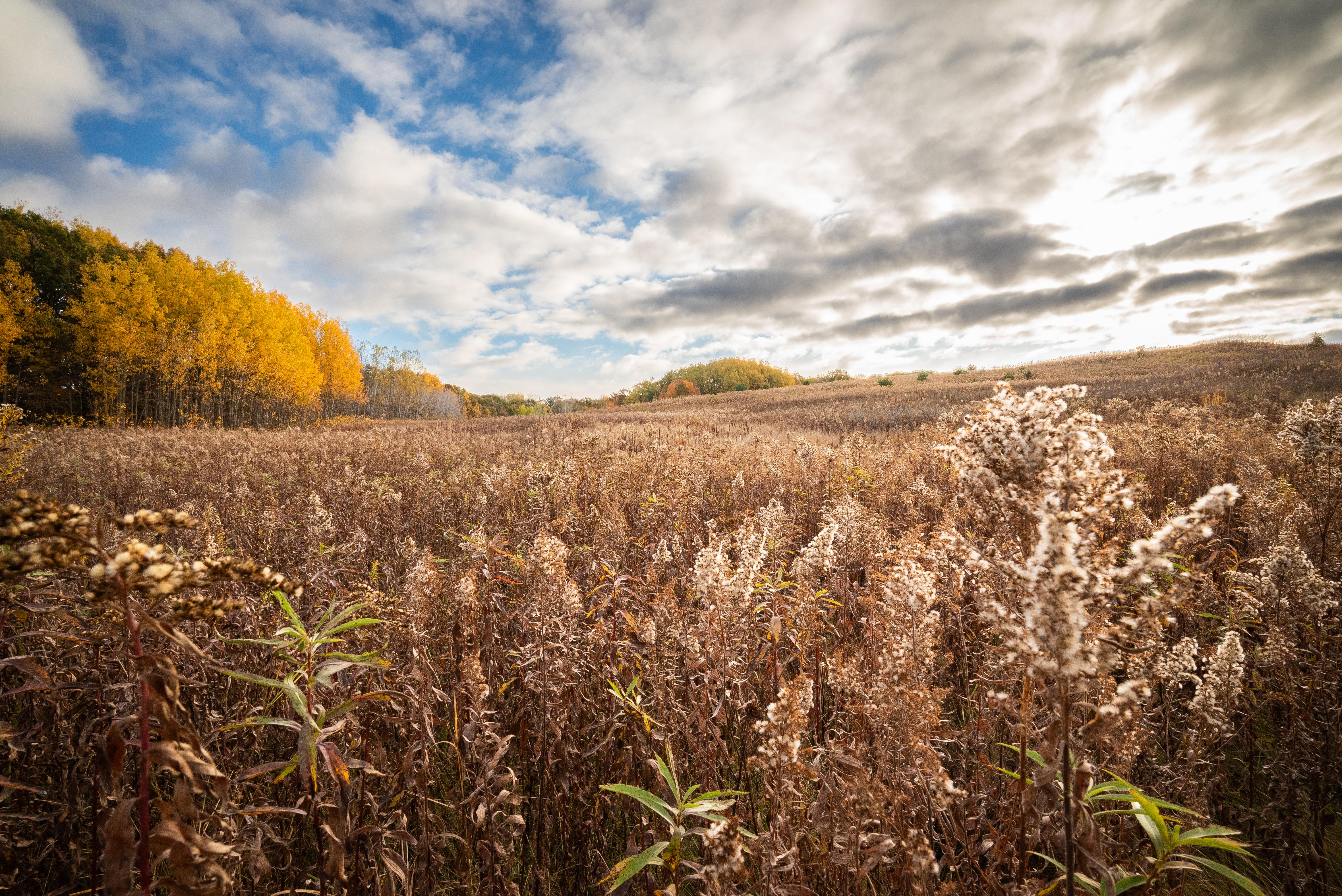 Chippewa Moraine Segment of Ice Age National Scenic Trail