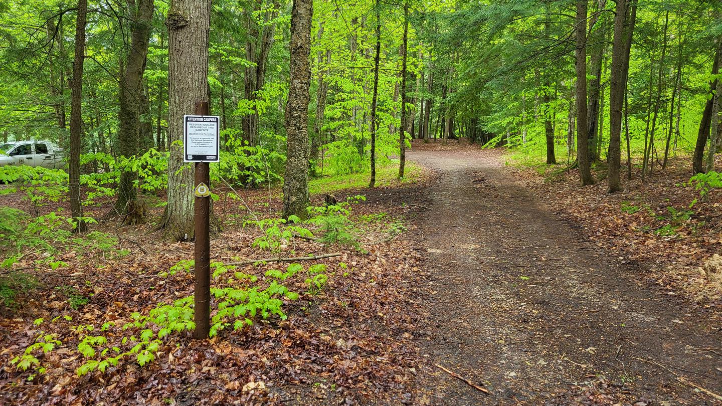 Minerva Site Entrance