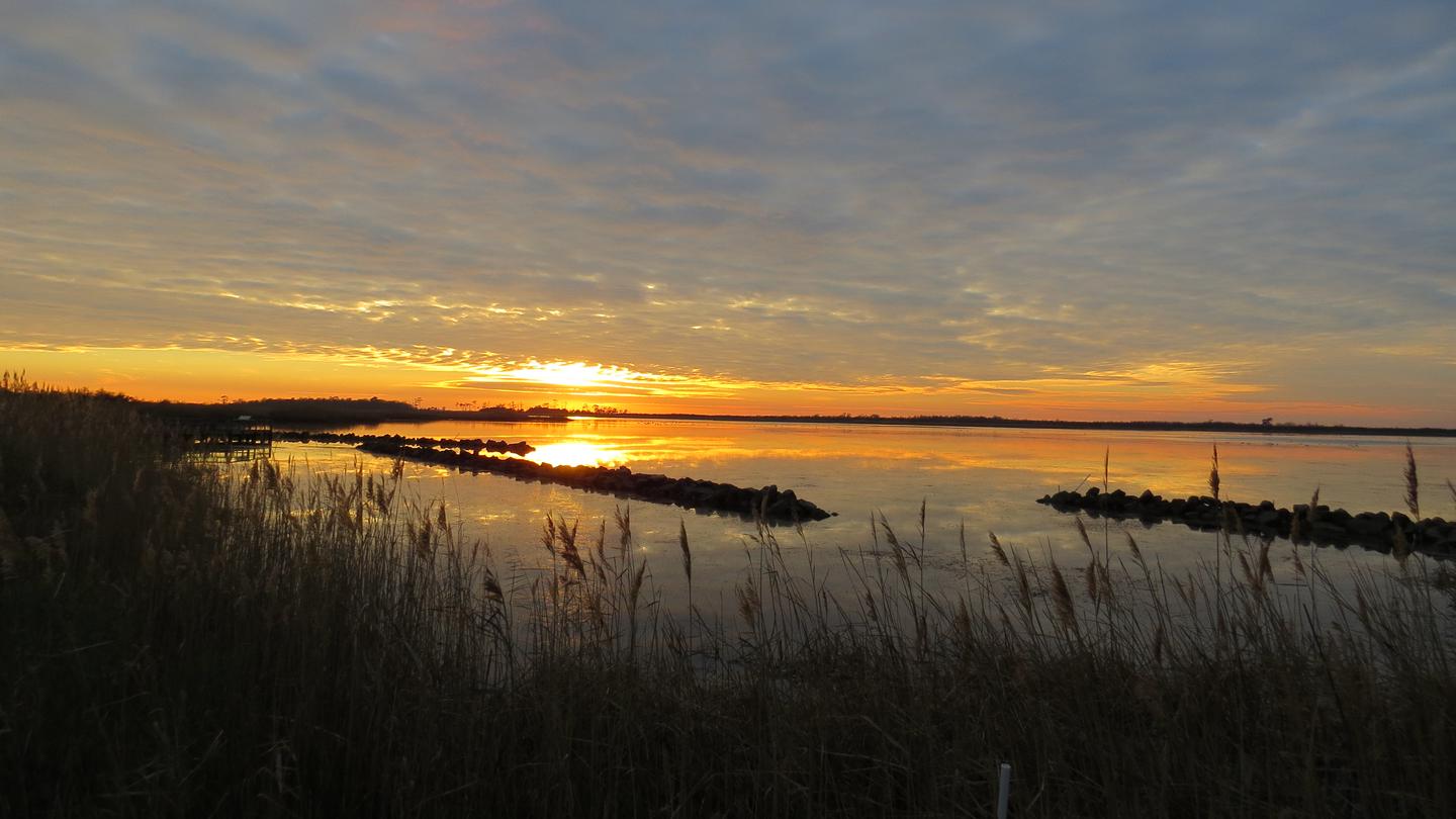 Gold and orange sunset over water. Marsh vegetation and breakwater rocks stand in front of the photgrapher with the sunset on the horizon. The sky is cloudy, with clouds changing color from gold to grayish blue throughout the image.Sunset on the bay at Back Bay National Wildlife Refuge in Virginia Beach, Virginia.