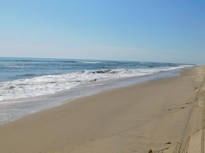 The blue ocean waves crash on the sandy shore. The sky is almost cloudless above.The beach at Back Bay National Wildlife Refuge in Virginia Beach, Virginia.