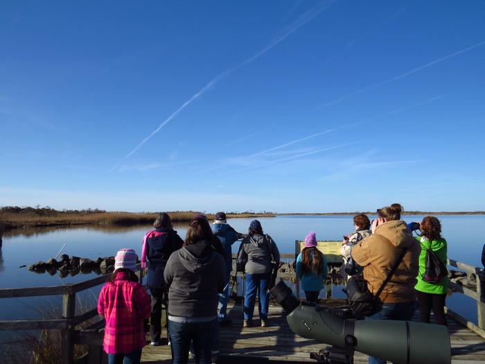 About a dozen people dressed in warm weather gear stand on a viewing platform over the water. Many look through binoculars at something in the water.Participants in a winter birding program observe ducks and swans at Back Bay National Wildlife Refuge in Virginia Beach, Virginia.