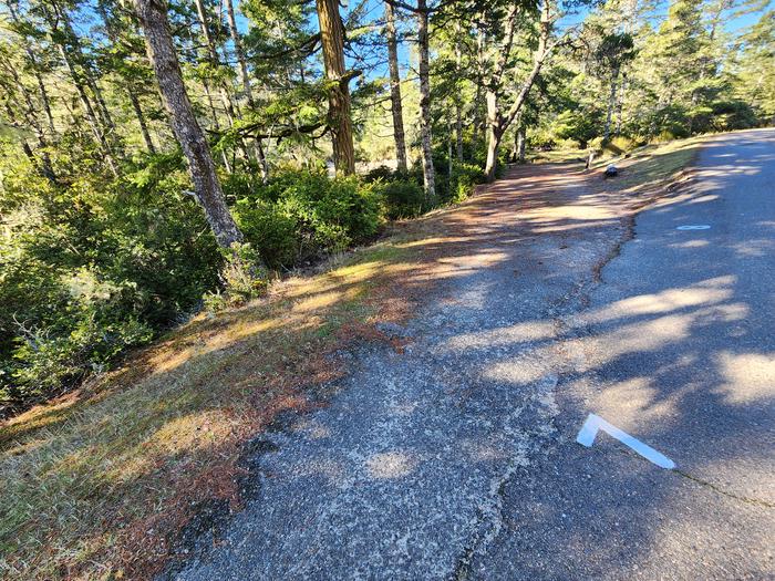 Eel Creek Campground Site #7/8