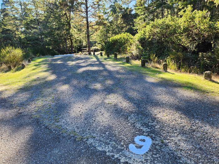 Eel Creek Campground Site #9Eel Creel Campground Site #9