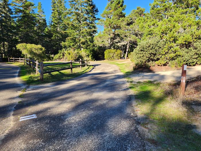 Eel Creek Campground Site #11