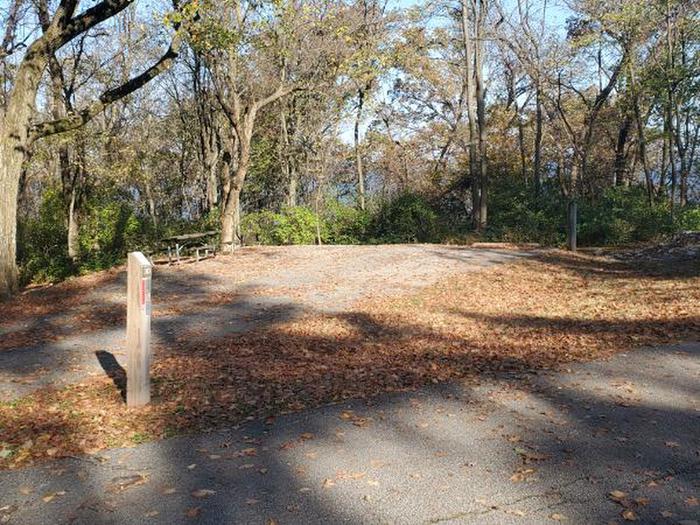 A photo of Site 30 of Loop NORTH LOOP at Dam East - McNair Campground