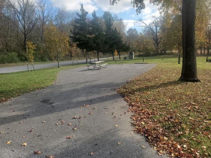 A photo of Site 001 of Loop L1 at Coles Creek Campground