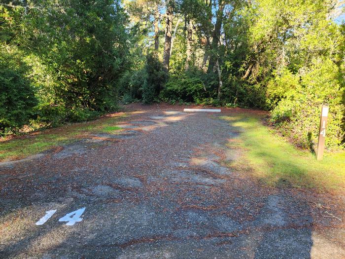 Eel Creek Campground Site #14