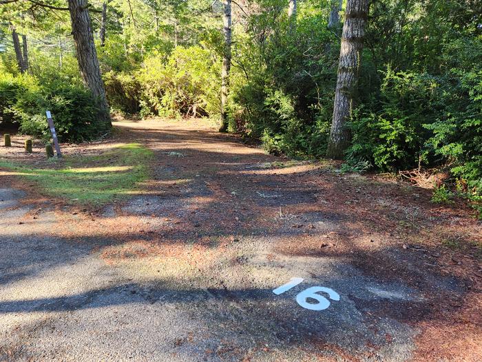 Eel Creek Campground Site #16