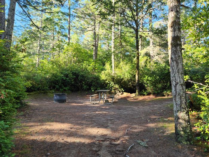 Site 16 campsite