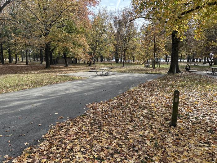 A photo of Site 004 of Loop DAM WEST at Dam West Campground
