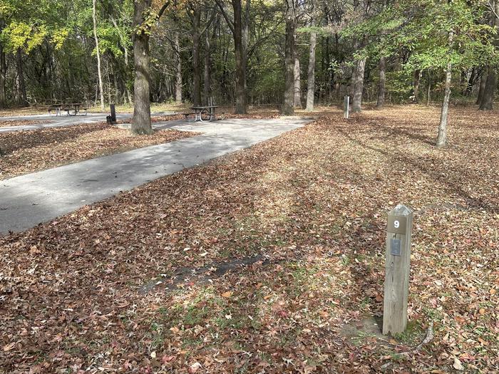 A photo of Site 009 of Loop DAM WEST at Dam West Campground
