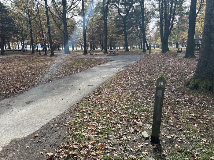 A photo of Site 015 of Loop DAM WEST at Dam West Campground
