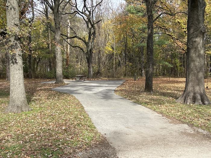 A photo of Site 019 of Loop DAM WEST at Dam West Campground
