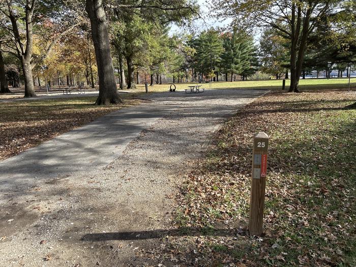 A photo of Site 025 of Loop DAM WEST at Dam West Campground
